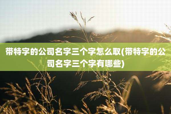 带特字的公司名字三个字怎么取(带特字的公司名字三个字有哪些)