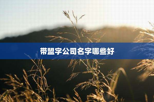 带盟字公司名字哪些好