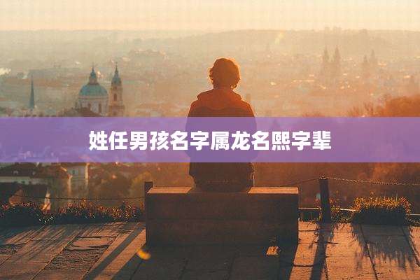 姓任男孩名字属龙名熙字辈