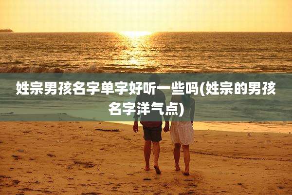 姓宗男孩名字单字好听一些吗(姓宗的男孩名字洋气点)