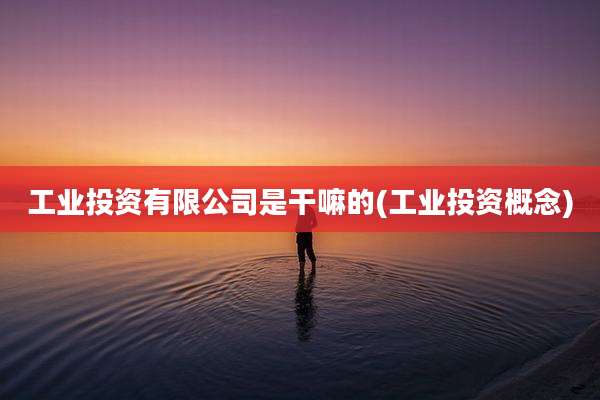 工业投资有限公司是干嘛的(工业投资概念)