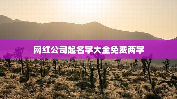 网红公司起名字大全免费两字