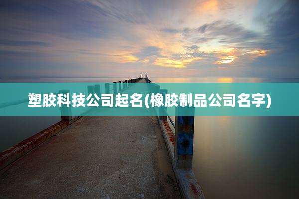 塑胶科技公司起名(橡胶制品公司名字)