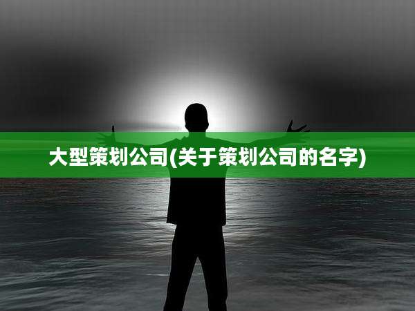 大型策划公司(关于策划公司的名字)