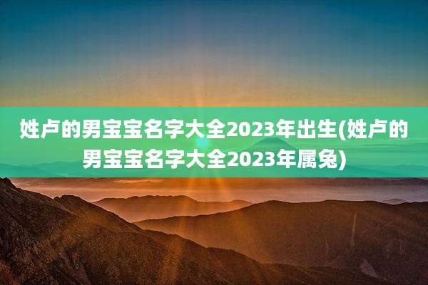 姓卢的男宝宝名字大全2023年出生(姓卢的男宝宝名字大全2023年属兔)