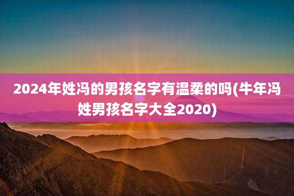 2024年姓冯的男孩名字有温柔的吗(牛年冯姓男孩名字大全2020)
