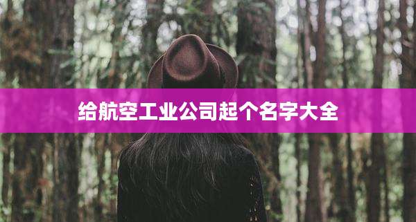 给航空工业公司起个名字大全