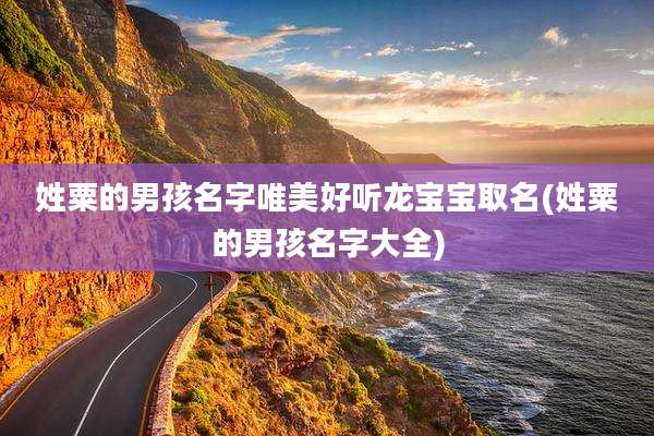 姓粟的男孩名字唯美好听龙宝宝取名(姓粟的男孩名字大全)