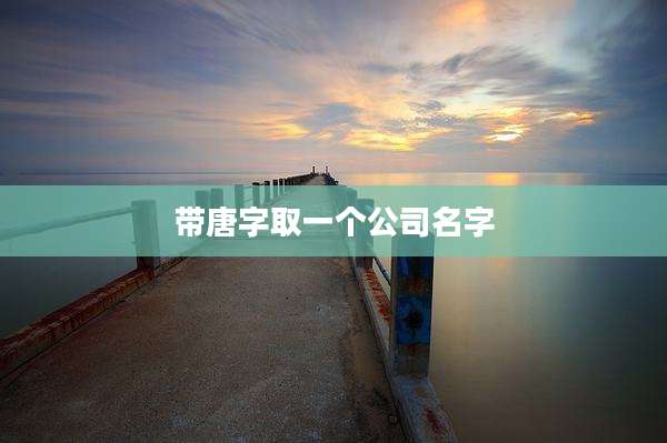 带唐字取一个公司名字
