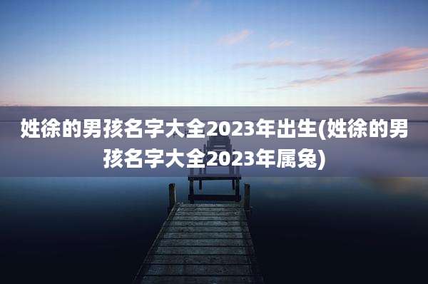 姓徐的男孩名字大全2023年出生(姓徐的男孩名字大全2023年属兔)