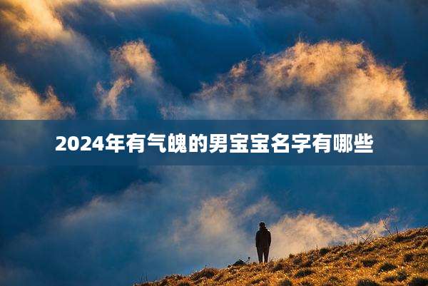 2024年有气魄的男宝宝名字有哪些