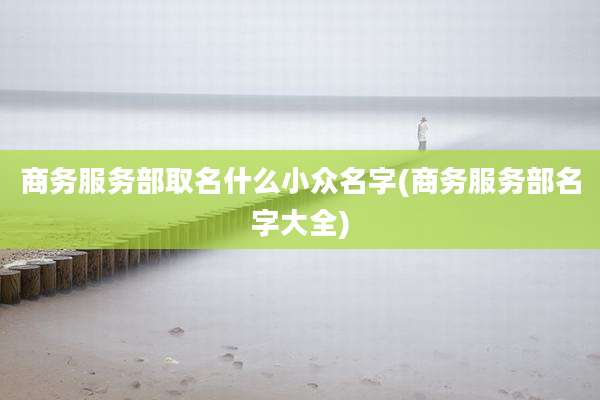 商务服务部取名什么小众名字(商务服务部名字大全)