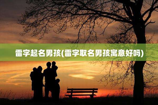 雷字起名男孩(雷字取名男孩寓意好吗)
