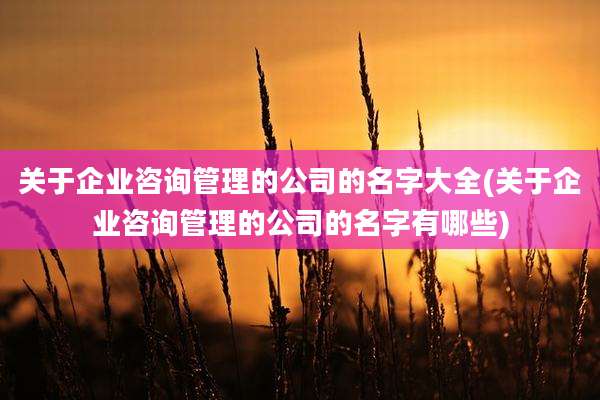 关于企业咨询管理的公司的名字大全(关于企业咨询管理的公司的名字有哪些)