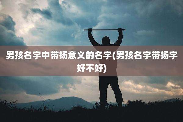 男孩名字中带扬意义的名字(男孩名字带扬字好不好)