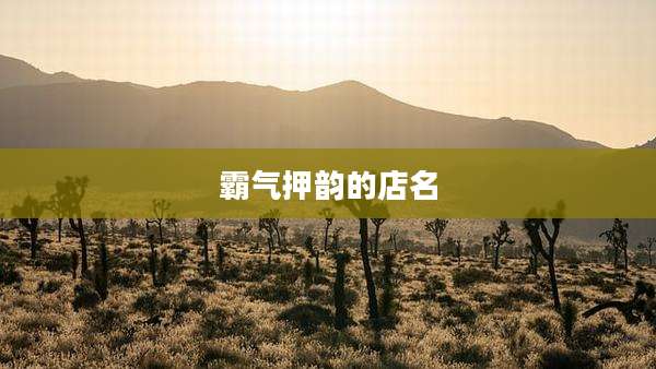 霸气押韵的店名