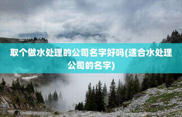取个做水处理的公司名字好吗(适合水处理公司的名字)