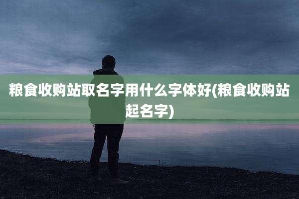粮食收购站取名字用什么字体好(粮食收购站起名字)
