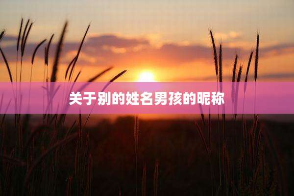 关于别的姓名男孩的昵称