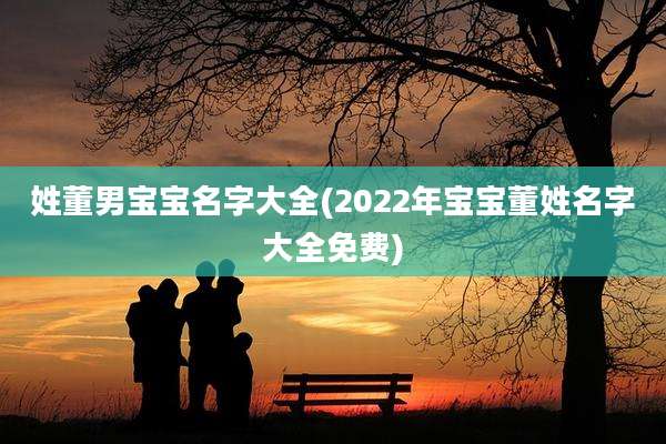 姓董男宝宝名字大全(2022年宝宝董姓名字大全免费)