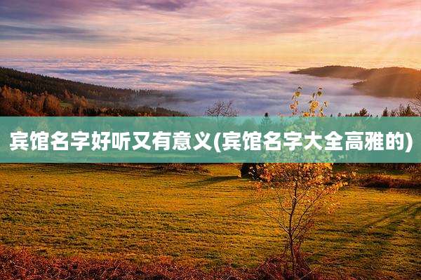 宾馆名字好听又有意义(宾馆名字大全高雅的)
