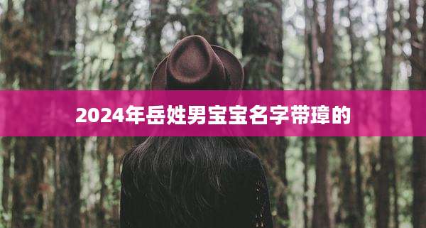 2024年岳姓男宝宝名字带璋的