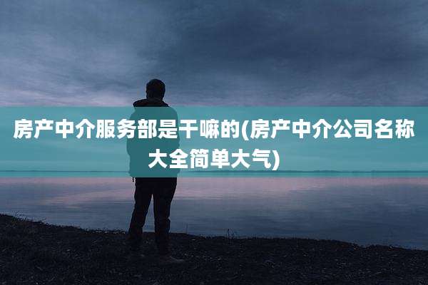 房产中介服务部是干嘛的(房产中介公司名称大全简单大气)