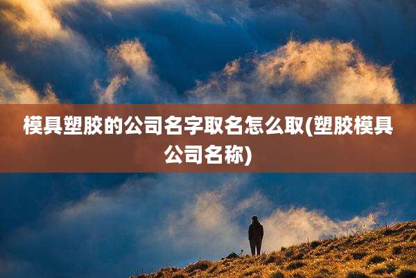 模具塑胶的公司名字取名怎么取(塑胶模具公司名称)
