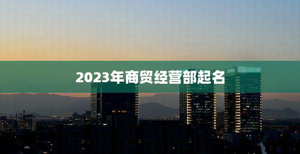 2023年商贸经营部起名