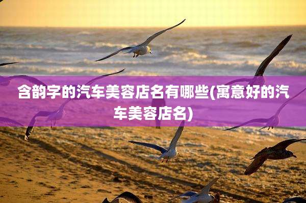 含韵字的汽车美容店名有哪些(寓意好的汽车美容店名)