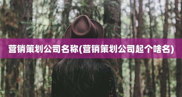 营销策划公司名称(营销策划公司起个啥名)