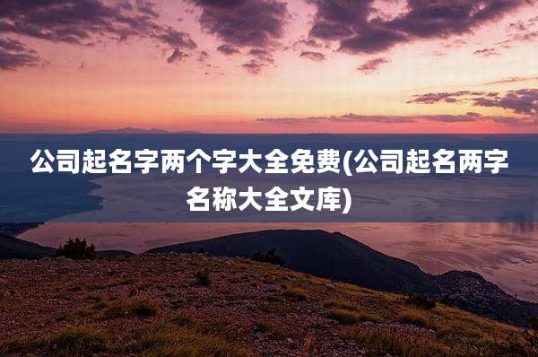 公司起名字两个字大全免费(公司起名两字名称大全文库)