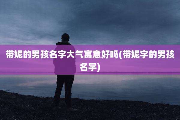 带妮的男孩名字大气寓意好吗(带妮字的男孩名字)