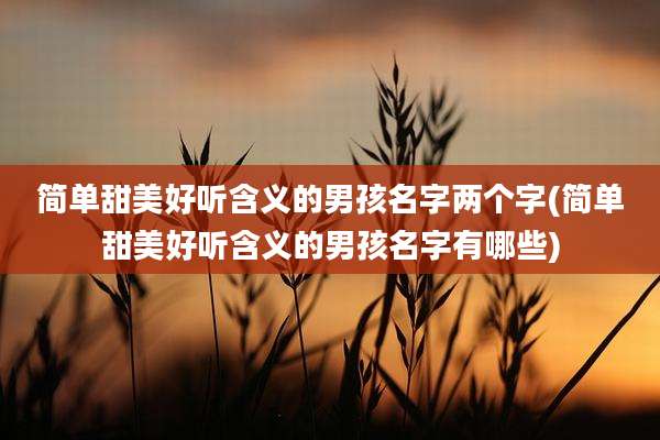 简单甜美好听含义的男孩名字两个字(简单甜美好听含义的男孩名字有哪些)