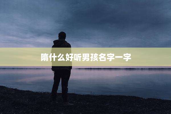 隋什么好听男孩名字一字