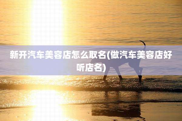 新开汽车美容店怎么取名(做汽车美容店好听店名)