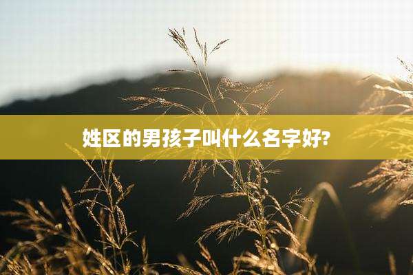 姓区的男孩子叫什么名字好?
