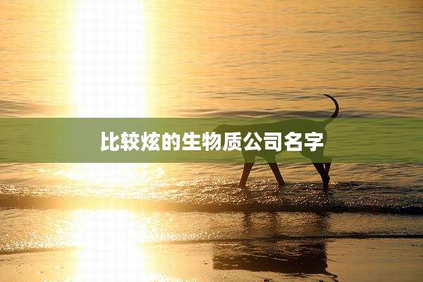 比较炫的生物质公司名字