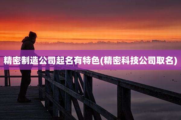 精密制造公司起名有特色(精密科技公司取名)
