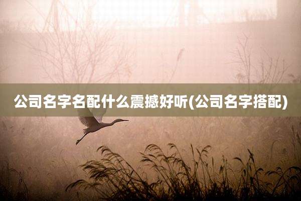 公司名字名配什么震撼好听(公司名字搭配)