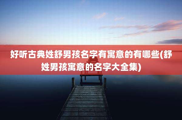 好听古典姓舒男孩名字有寓意的有哪些(舒姓男孩寓意的名字大全集)