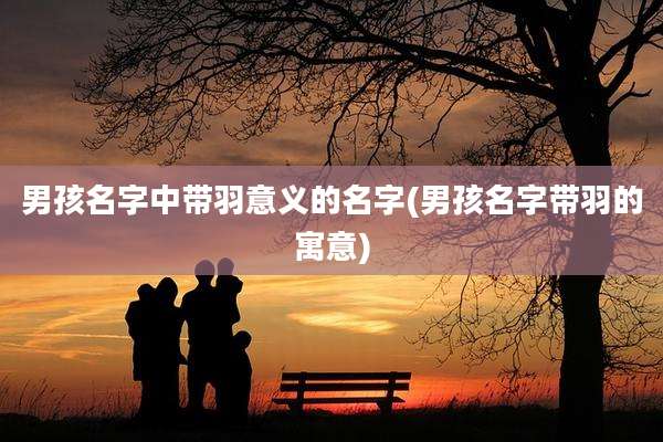 男孩名字中带羽意义的名字(男孩名字带羽的寓意)