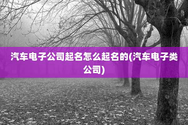 汽车电子公司起名怎么起名的(汽车电子类公司)