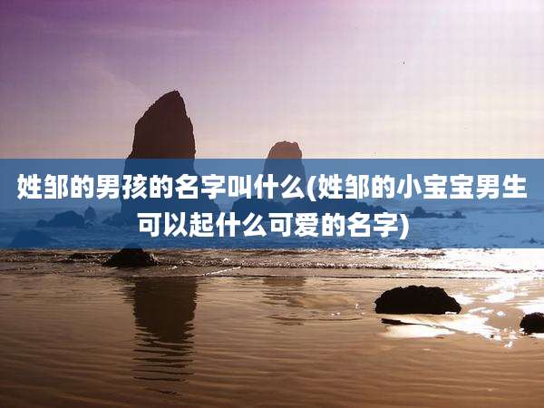 姓邹的男孩的名字叫什么(姓邹的小宝宝男生可以起什么可爱的名字)