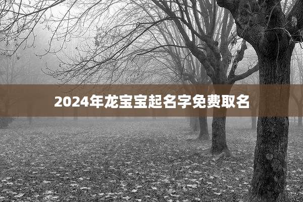 2024年龙宝宝起名字免费取名