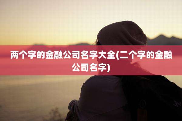 两个字的金融公司名字大全(二个字的金融公司名字)
