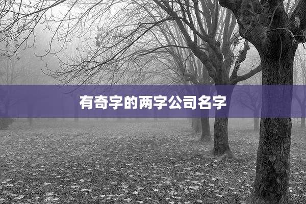 有奇字的两字公司名字