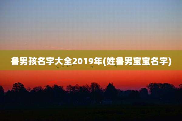 鲁男孩名字大全2019年(姓鲁男宝宝名字)