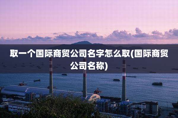 取一个国际商贸公司名字怎么取(国际商贸公司名称)