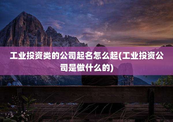 工业投资类的公司起名怎么起(工业投资公司是做什么的)